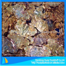 fresh frozen mud crab price for sale with superior service